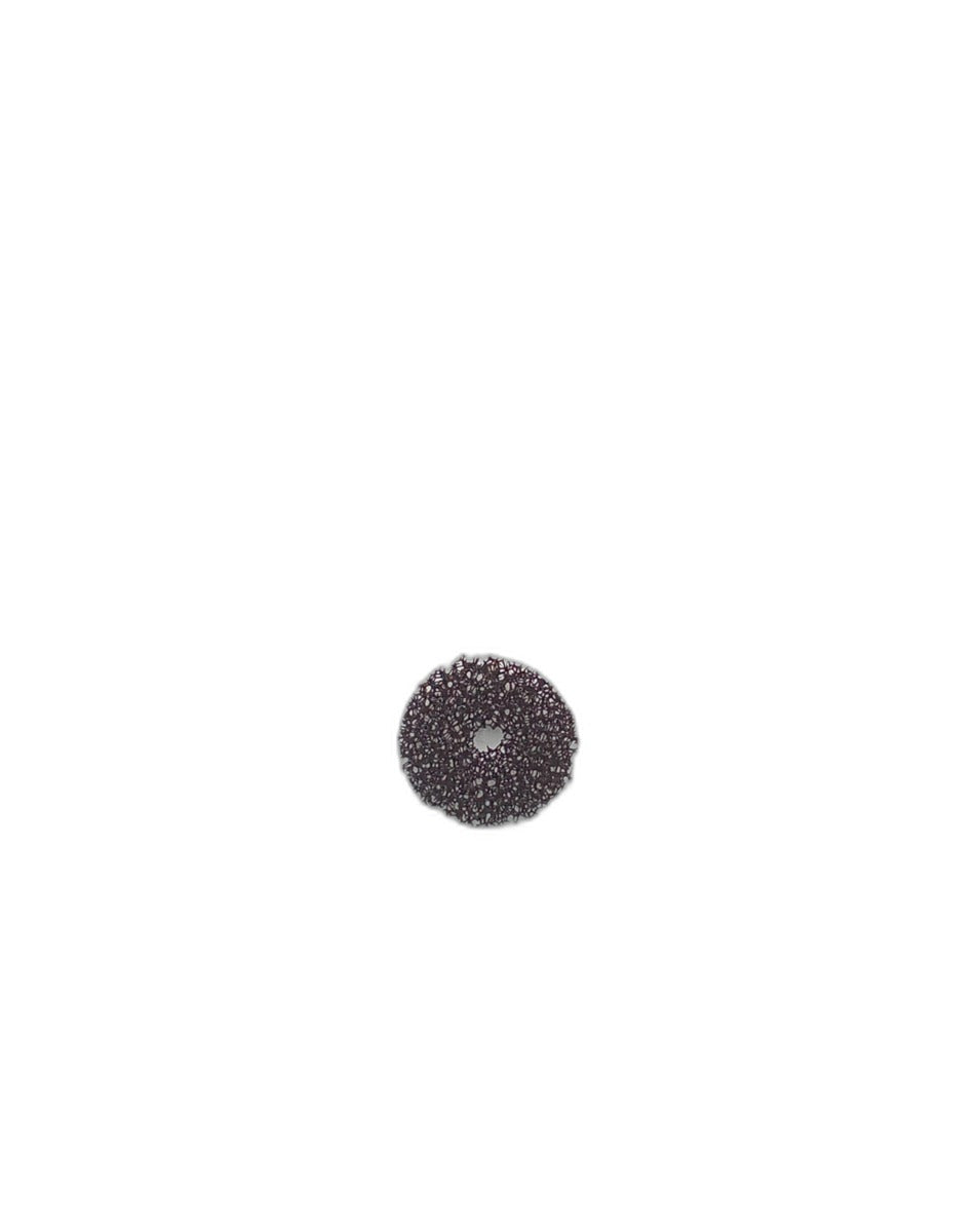 Repuesto para Robot Aspirador Conga - FILTRO CONGA 4000 CARPET&SPOT CLEAN XL ADVANCE - SKU 77102-M01
